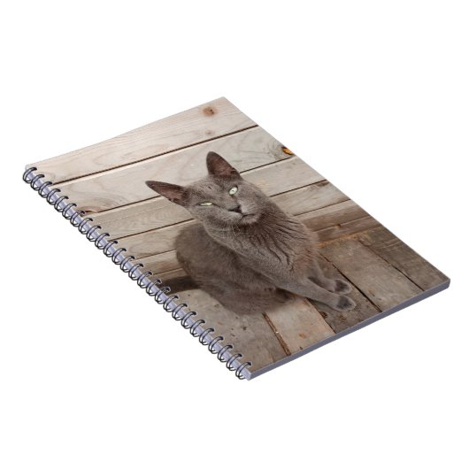Carnet Chat gris (Côté Droit)