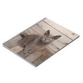 Carnet Chat gris (Côté gauche)