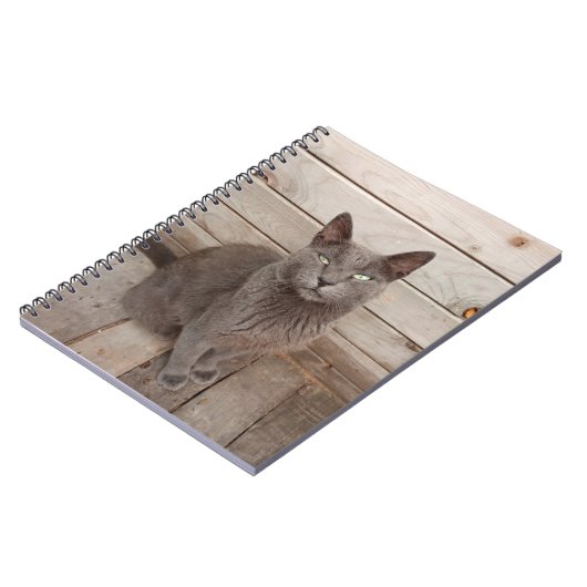 Carnet Chat gris (Côté gauche)