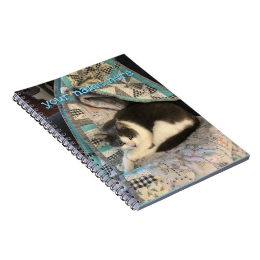 Carnet Chat gris et blanc (Côté Droit)