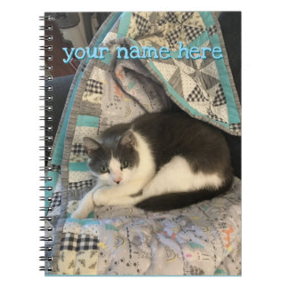 Carnet Chat gris et blanc