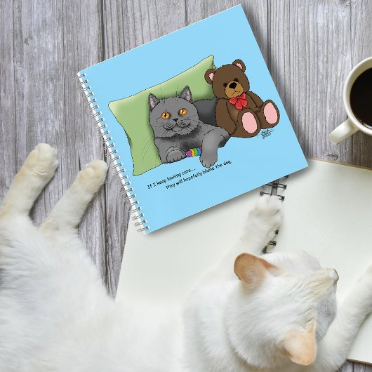 Carnet Chat gris ours en peluche