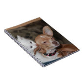 Carnet Chat lécher chien (Côté Droit)