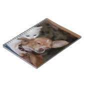 Carnet Chat lécher chien (Côté gauche)