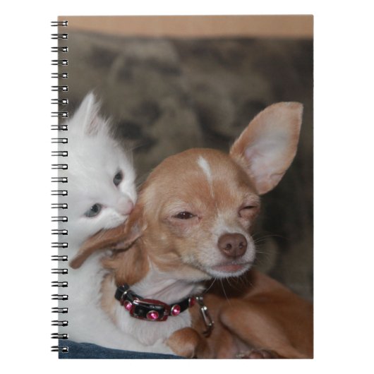 Carnet Chat lécher chien (Devant)