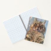 Carnet Chat Majestic de Tigre (Intérieur)