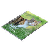 Carnet Chat marron et blanc (Côté gauche)
