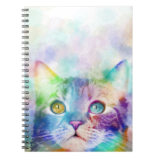 Carnet chat multicolore cat 663 (Devant)