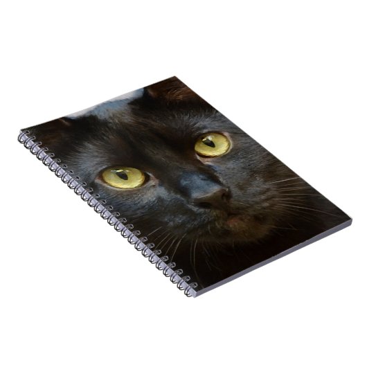 Carnet chat noir (Côté Droit)