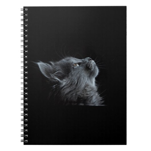 Carnet Chat noir (Devant)