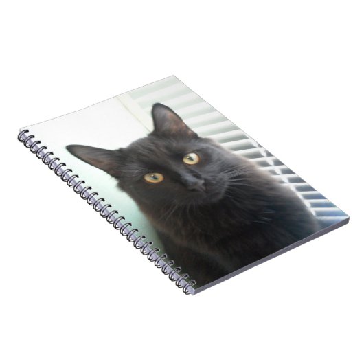 Carnet Chat noir (Côté Droit)