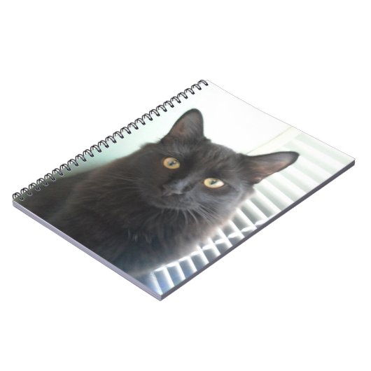 Carnet Chat noir (Côté gauche)