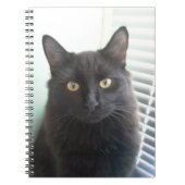 Carnet Chat noir (Devant)