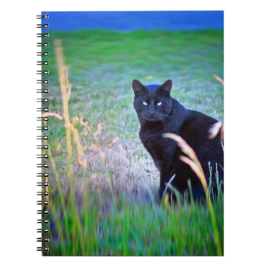 Carnet Chat noir (Devant)