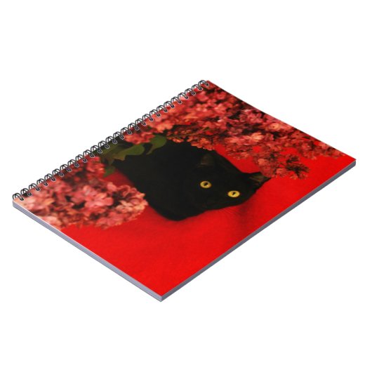 Carnet chat noir (Côté gauche)