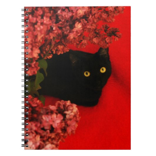 Carnet chat noir (Devant)