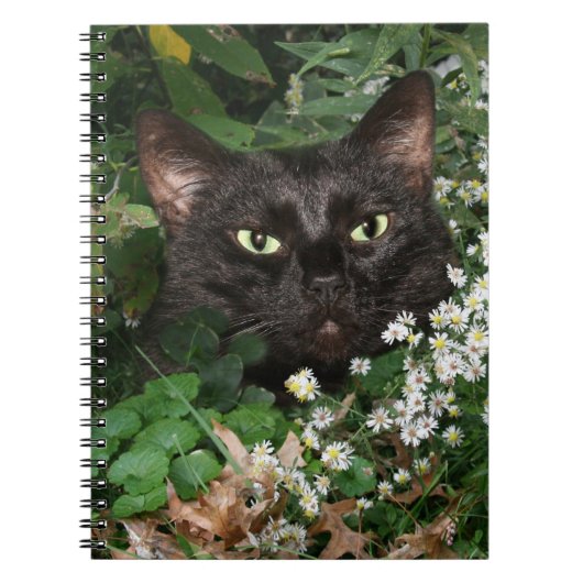 Carnet Chat noir avec fleur sauvage (Devant)