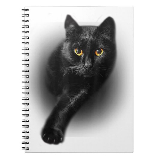 Carnet Chat noir Yellow Eyes Chats (Devant)