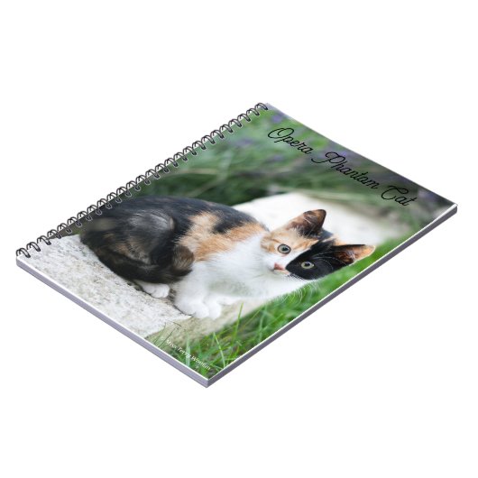 Carnet Chat opéra fantôme (Côté gauche)