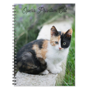 Carnet Chat opéra fantôme