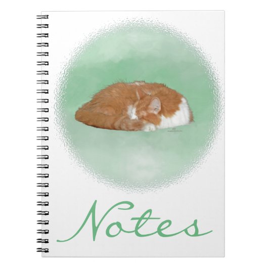 Carnet Chat orange endormi (Devant)