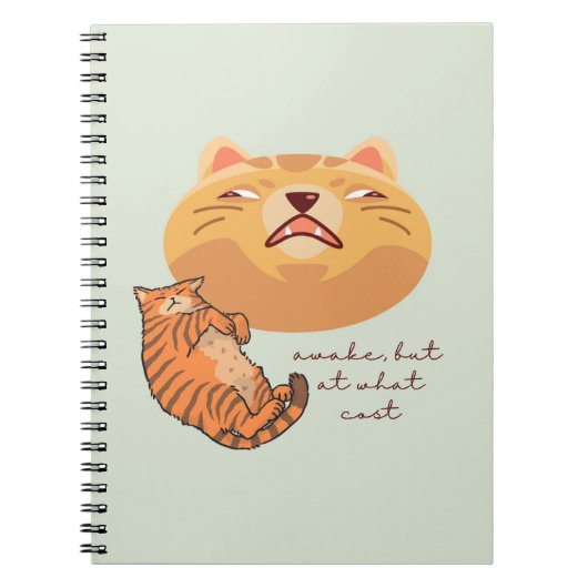 Carnet Chat orange fatigué (Devant)