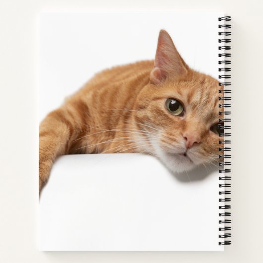 Carnet Chat Orange Posé En Bas (Dos)