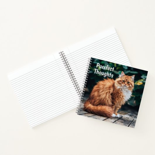 Carnet Chat perse orange (Intérieur)