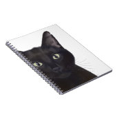 Carnet Chat, Portrait de Gus (Côté Droit)