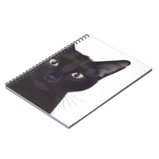 Carnet Chat, Portrait de Gus (Côté gauche)