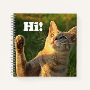 Carnet Chat roux qui dit bonjour !