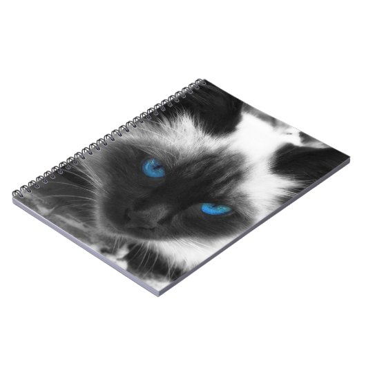 Carnet Chat siamois (Côté gauche)