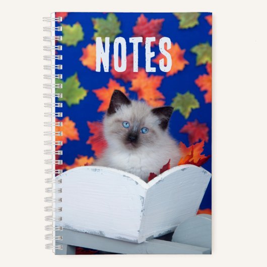 Carnet Chat siamois mignon et long-haïr (Recto)