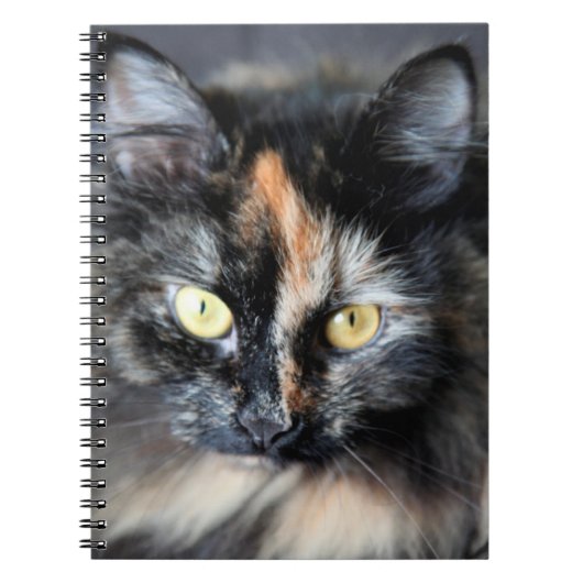 Carnet Chat sibérien (Devant)