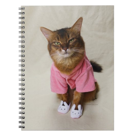 Carnet Chat somalien à Robe et Chaussures (Devant)