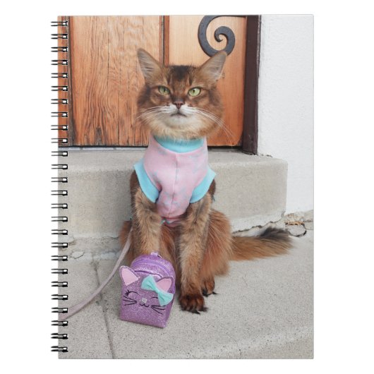 Carnet Chat somalien de retour à l'école avec petit sac à (Devant)