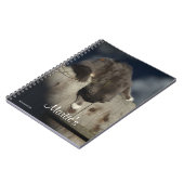 Carnet Chat sur clôture (18) (Côté gauche)