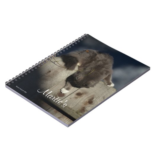 Carnet Chat sur clôture (18) (Côté gauche)