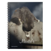 Carnet Chat sur clôture (18) (Devant)