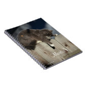 Carnet Chat sur clôture (9) (Côté Droit)