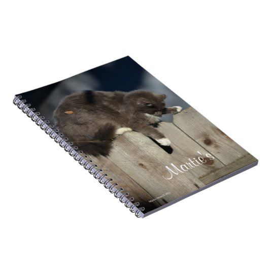 Carnet Chat sur clôture (9) (Côté Droit)