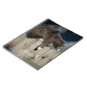 Carnet Chat sur clôture (9) (Côté gauche)