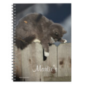Carnet Chat sur clôture (9) (Devant)