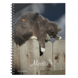 Carnet Chat sur clôture (9)