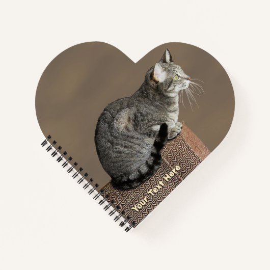 Carnet Chat Tabby Gris Fumé (Devant)