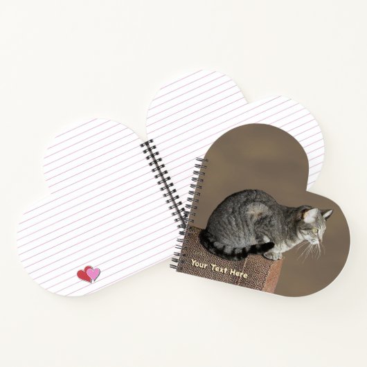 Carnet Chat Tabby Gris Fumé (Intérieur)