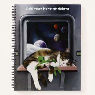 Carnet Chat tabby vaisseau spatial Peluche extraterrestre