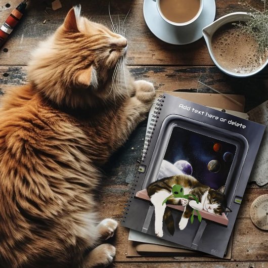 Carnet Chat tabby vaisseau spatial Peluche extraterrestre
