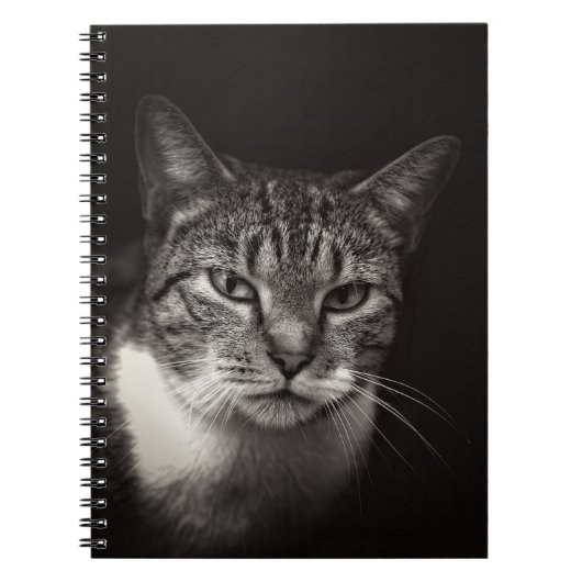 CARNET CHAT TABLEAU D'ARGENT (Devant)