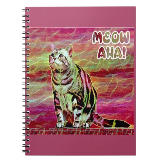 Carnet Chat tigré argenté (Devant)